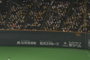 札幌ドームにいる阪神ファンの正体ｗｗｗｗｗｗｗｗ