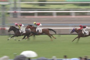 【競馬】今年の３歳と２歳がキングカメハメハ産駒の中で最弱世代な件について