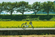 田舎で大人の男が自転車乗ってるとそんなに浮くの？