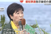 小池百合子「カスタムメイドで東京を良くしていく」←カスタムメイドって何？