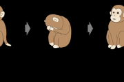 東北大、意図的にサルを「うつ病」にさせる事に成功ｷﾀ━━━━(ﾟ∀ﾟ)━━━━!!