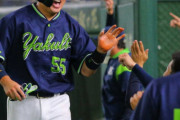 【五月初勝利】ヤクルトファン集合 5/7