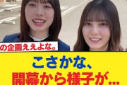 【日向坂46】こさかな、開幕から様子が…【日向坂46HOUSE】#日向坂46 #日向坂 #日向坂で会いましょう #乃木坂46 #櫻坂46