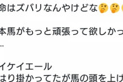 【メイケイエールを抑えた】藤田伸二氏　マクドナルド騎手を大絶賛！ 「恐るべし上手い騎手だと思った」「パワーと技術が凄い！」