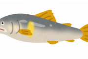 川魚って食えるの？？？？？？？？？？？