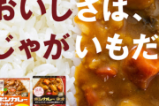 ボンカレー大塚食品「おいしさは、じゃがいもだ。」