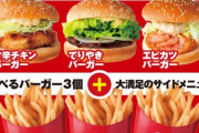 【朗報】ドムドムバーガーさん、マクナルに圧倒的な力の差を見せつけてしまう