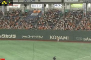 【GIF】巨人新外国人ハイネマンの外野守備wwwww