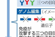【速報】IPS細胞、本格的に始まる