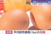 【速報】”最悪のエッグショック”到来。卵の値段、280円→500円に…