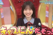 【日向坂46】今週のひなあいキャプにん企画、五期生が既に溶け込んでて神回となる