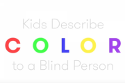 目の見えないお兄さんに「色」を説明する子供たち  海外の反応