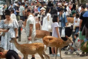 【奈良】外国人観光客、奈良公園だけ見て帰ってしまう人が多数