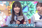 【日向坂46】おひさま、カリンバに過剰反応してしまうｗｗｗｗｗｗｗｗｗｗｗ