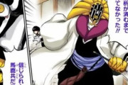 BLEACHのマユリ様「敵は卍解を封じる手段を…」山爺「もうよい」