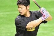 近藤健介って日本最高打者としては華が無さすぎない？