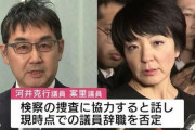 【文春砲】なんと自民党本部から河井陣営に1億5000万振り込まれていたことがバレてしまう