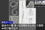 シベリアの永久凍土で発見された4万年眠り続けた線虫が蘇る！謎の生命体の覚醒に迫る