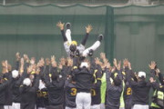 矢野監督、胴上げされるｗｗｗｗｗｗｗｗｗｗｗｗｗｗｗｗｗｗｗｗｗｗｗｗ【予祝】