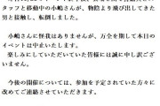 小嶋陽菜さん関係者「大騒ぎする過激なファンがいる」警視庁に相談していた　29日の写真集イベントは中止と発表