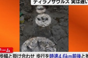 【悲報】ティラノサウルスが歩く速度、俺らと変わらないことが発覚