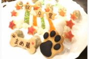 【その後！】柴犬のまめ蔵、出所するも感情を失ってしまう