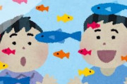 【悲報】アクアリウムとかいう最高の趣味、なぜか流行らない・・・