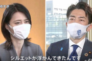 【悲報】トヨタ社長、セクシー環境大臣にブチ切れ??