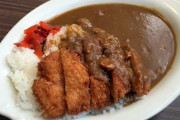 【悲報】カツカレーさん、「カツがスプーンで食べにくい」という欠点を克服できない…