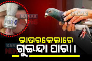 【インド】中国のスパイ容疑の「ハト」、無実が確認され8カ月ぶりに釈放～！