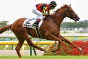 【競馬予想】第56回 札幌2歳ステークス(G3) /2021