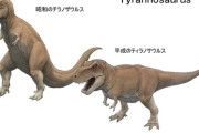 【画像】ティラノサウルスさん、昔と今で「姿勢」が変わってしまうｗｗｗｗ