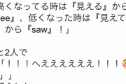 女さん「シーソーの語源は『see』の過去形なんだって！」→怒涛の8万いいね！