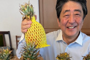 【大人気ワロタ】安倍前首相 笑顔で「今日のデザートはパイナップル」コメント殺到ｗ