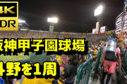 【阪神】今季の主催公式戦200万人突破、49試合で到達　過去最速は04年７月１日の39試合