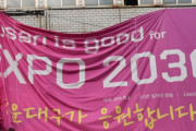 韓国人「2030年の万博誘致で韓国に投票した29カ国がこちら」