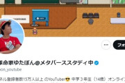 少年革命家・ゆたぼん「スタディ号を２０００万円で買う人」出現に歓喜→希望者「友達に止められた、2000円なら買うわｗ」