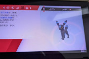 【朗報】ワシ、ポケモン剣盾にてとんでもないものを引き当てる