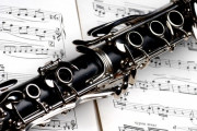「修理が間に合わない」 元教師が教え子のクラリネットだまし取る