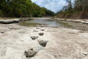 【画像】干上がった川の底から「恐竜の足跡」