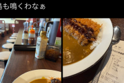 【画像】CoCo壱のカツカレー、サラダを付けたら2000円オーバーで日本人を驚かせるｗｗｗ