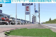 【悲報】ビッグモーター店舗前の街路樹が枯死する怪現象、群馬県が被害届提出