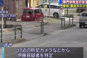 専門学校に通う２０歳女性、路上で寝ていた国土交通省職員を轢き逃げしてしまい人生終了