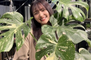 【乃木坂46】金川紗耶、もっちょりさんに観葉植物(29,800円)を自腹で奢ってもらうwww