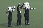 【５連勝】西武ファン集合（2026.6.11）