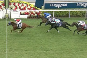 【香港ヴァーズ】ウインマリリンが完勝！G1初制覇 日本牝馬で初V！