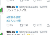 【欅坂46】菅井友香＆齋藤冬優花の完全にオタク同士みたいな会話www
