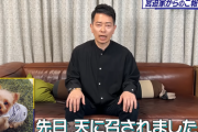 【訃報】宮迫博之さん、16年過ごした愛犬ベリーちゃんの死去を報告「いなかったらうちの家庭は崩壊していた」