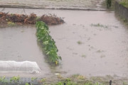 【悲報】ワイの畑、水没ｗｗｗｗｗｗ