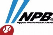 【朗報】NPB審判団、トラックマンを導入する